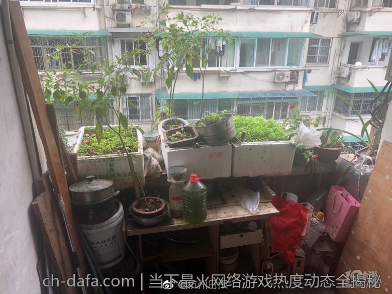 当下最火网络游戏热度动态全揭秘